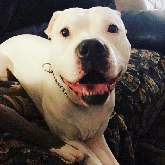 Meet the posher! - Picture 3 of 4